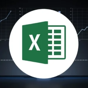 Microsoft Excel-Beginner to Advanced Level